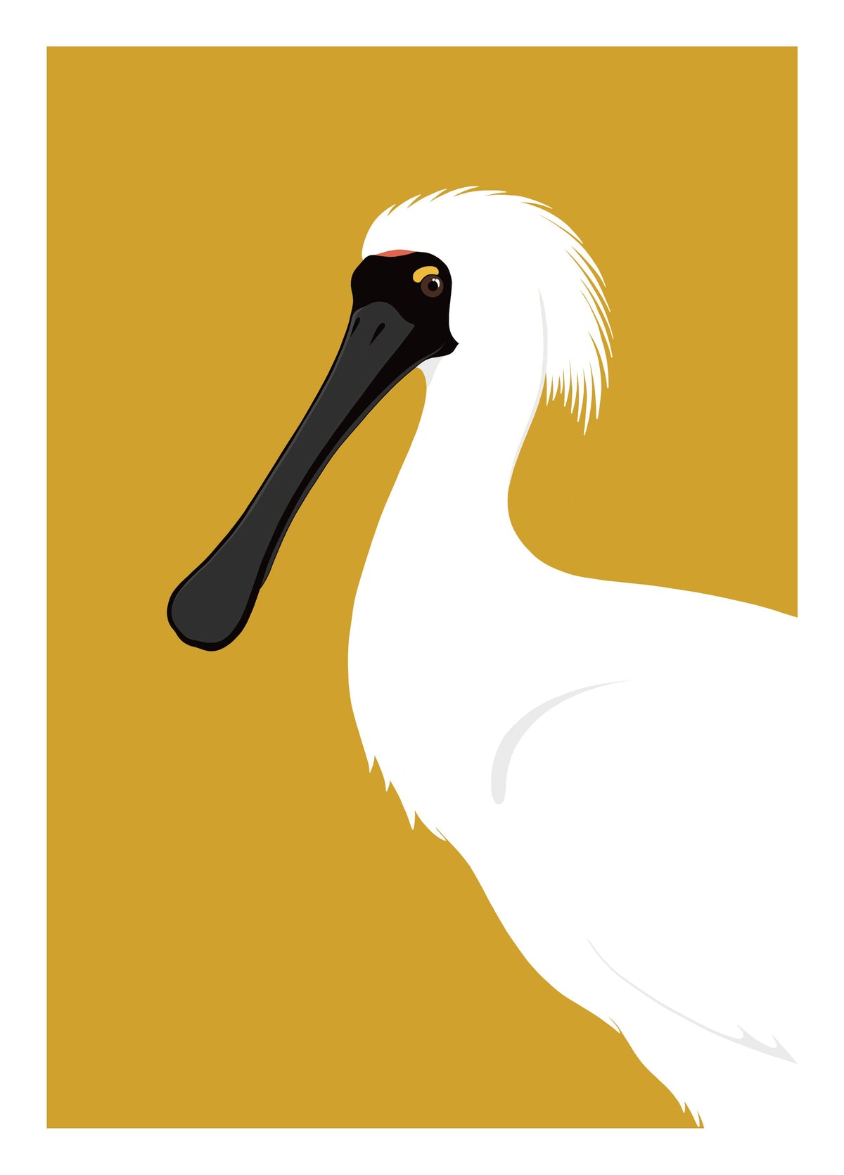 Spoonbill Bird Card