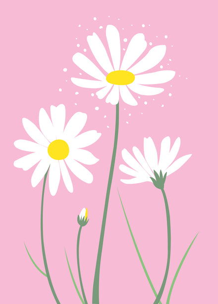 Card editor placeholder