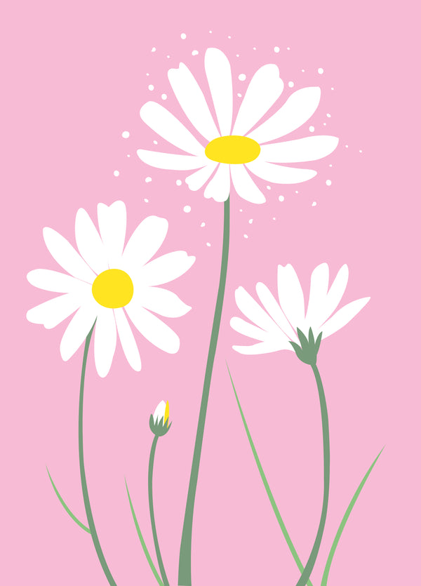 Pink Daisy Greetings Card