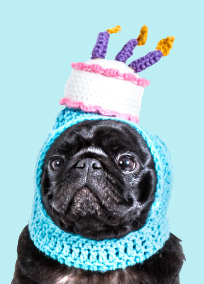 Cake Hat Card