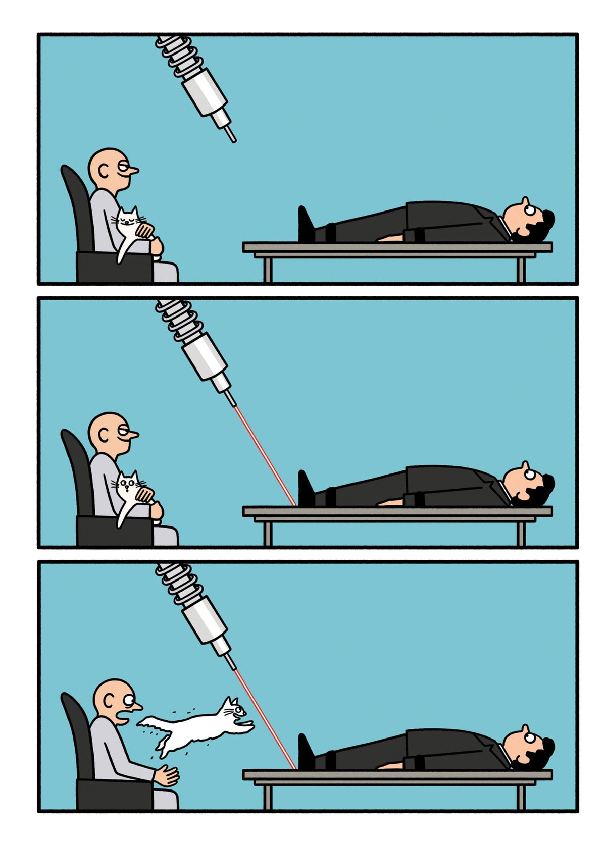 Cat Laser