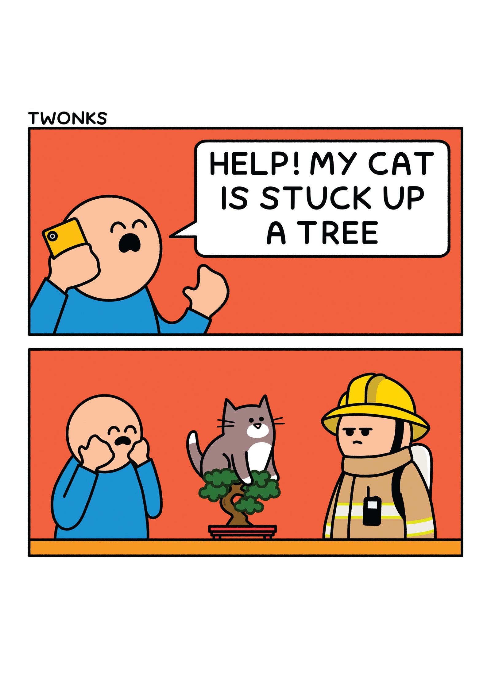 Cat Stuck Up A Tree
