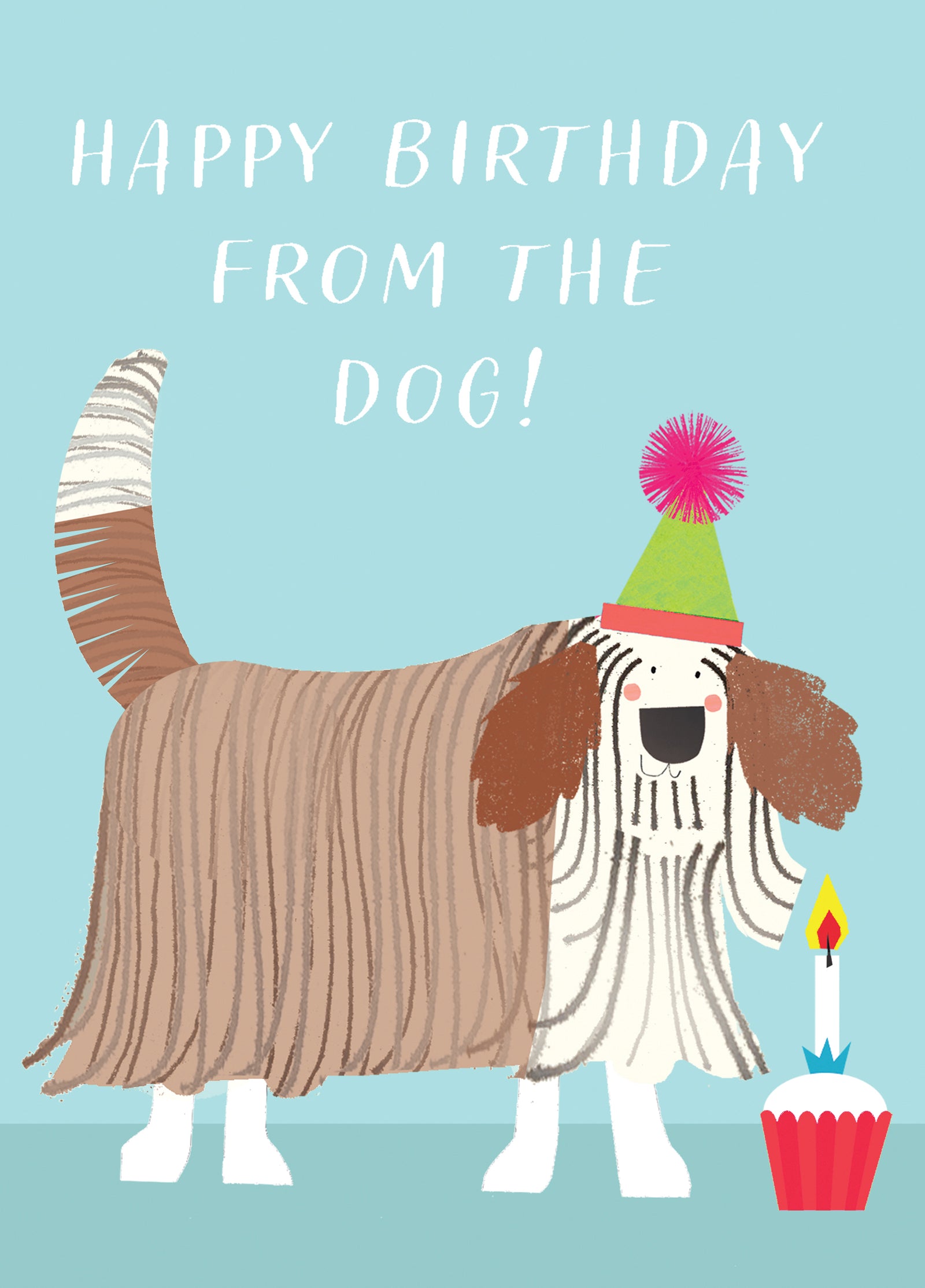 Happy Birthday From The Dog Bearded Collie