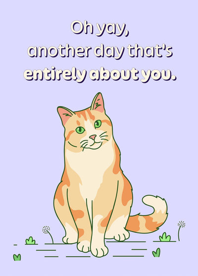SARCASTIC BIRTHDAY CARD - FUNNY GINGER CAT "ANOTHER DAY ABOUT YOU"