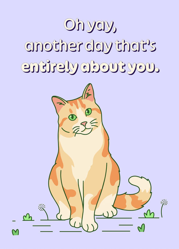 SARCASTIC BIRTHDAY CARD - FUNNY GINGER CAT 