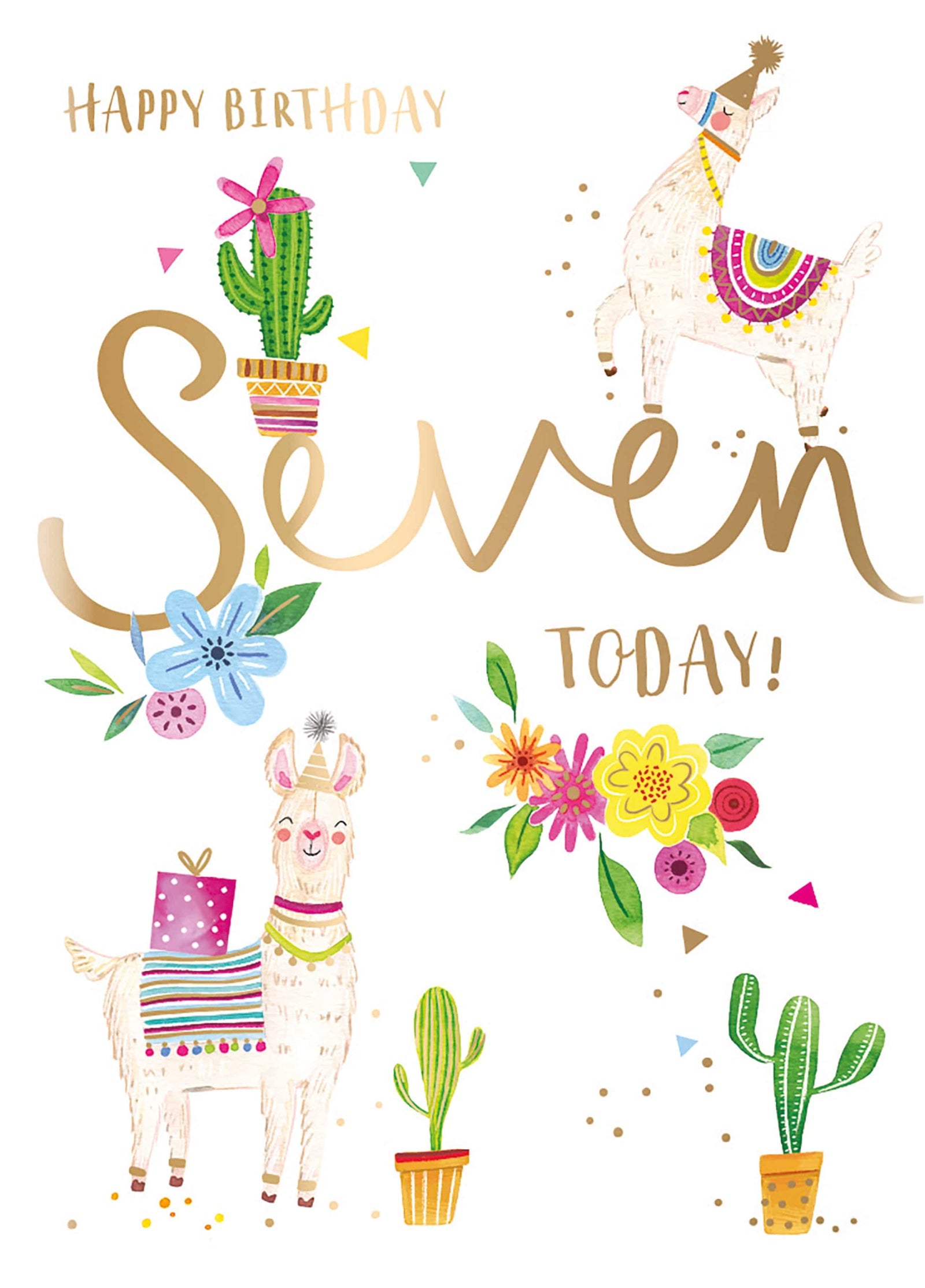 Happy Birthday Seven Today Card