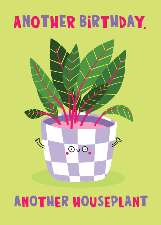 Another Houseplant