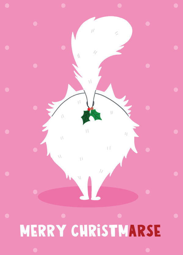 Merry ChristmARSE