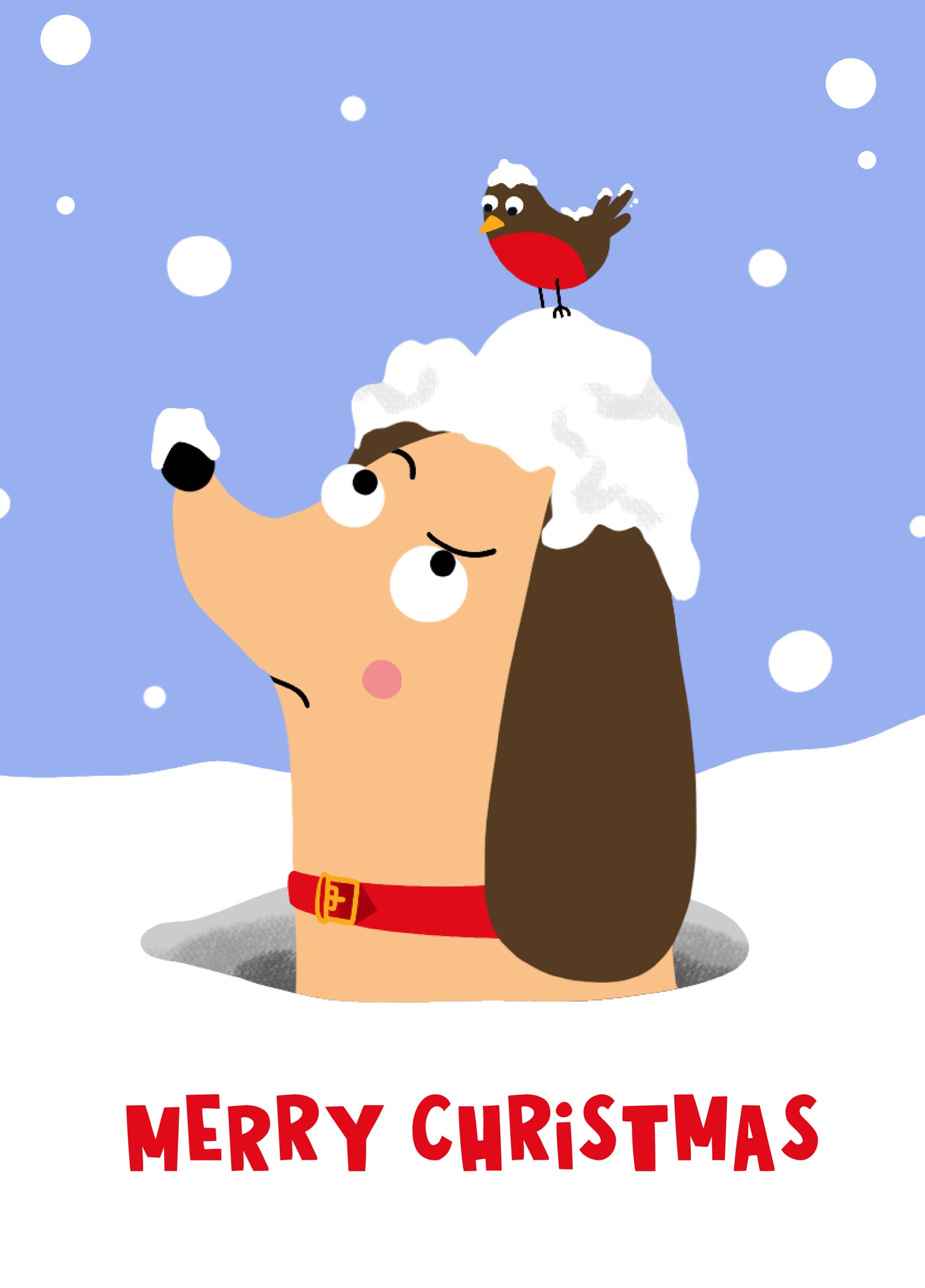 Dog And Robin