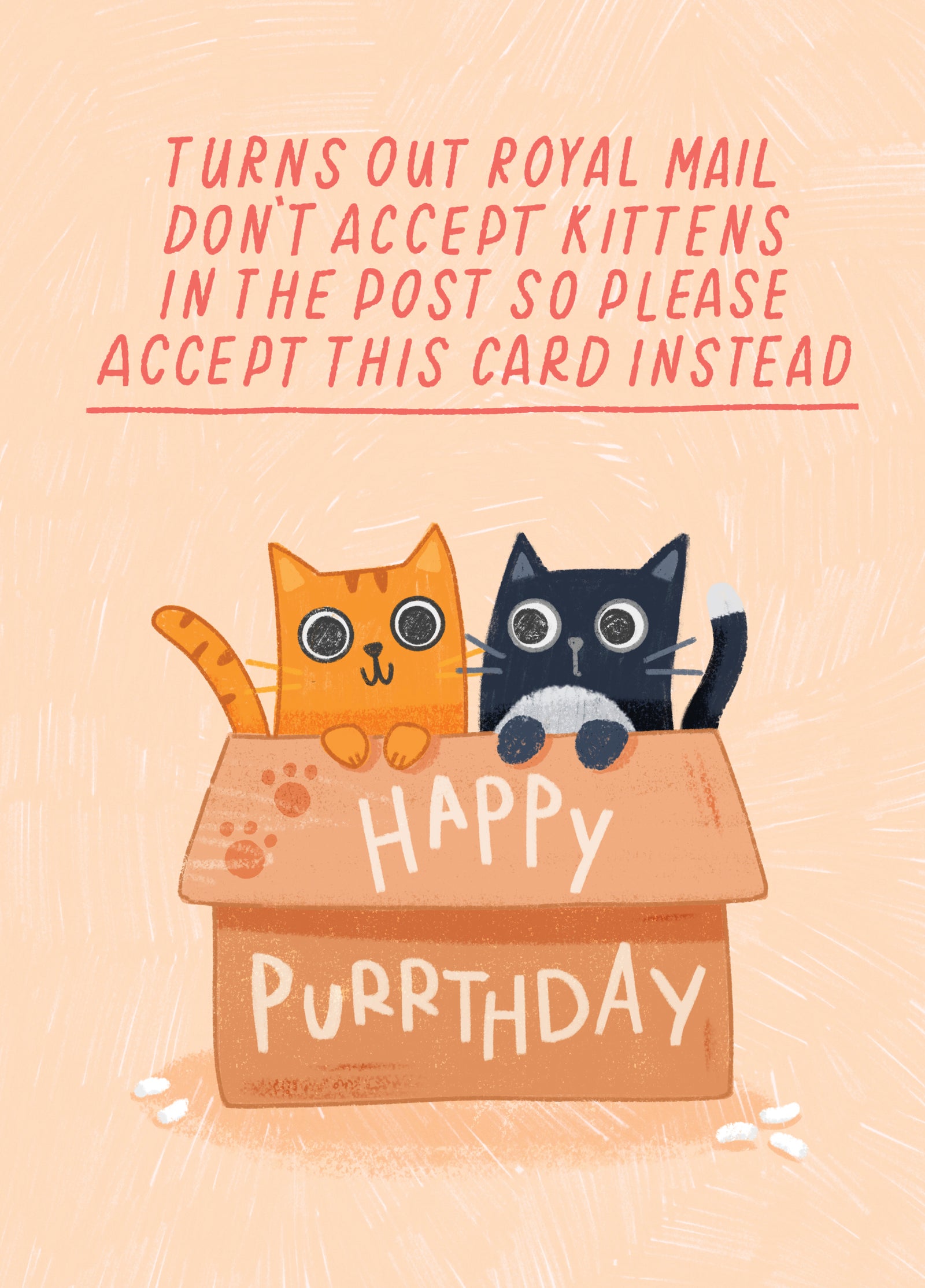 Funny Cat Lover Birthday Card