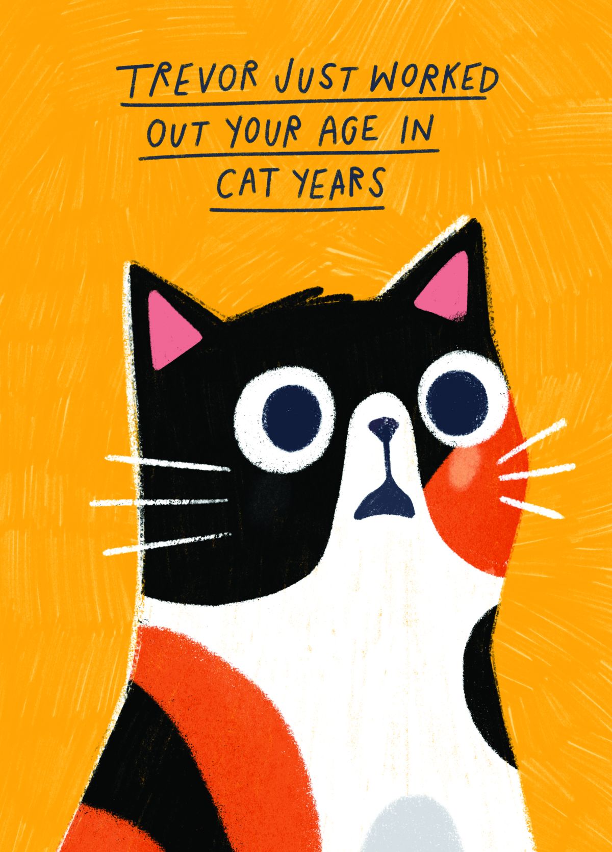 Funny Cat Birthday Card