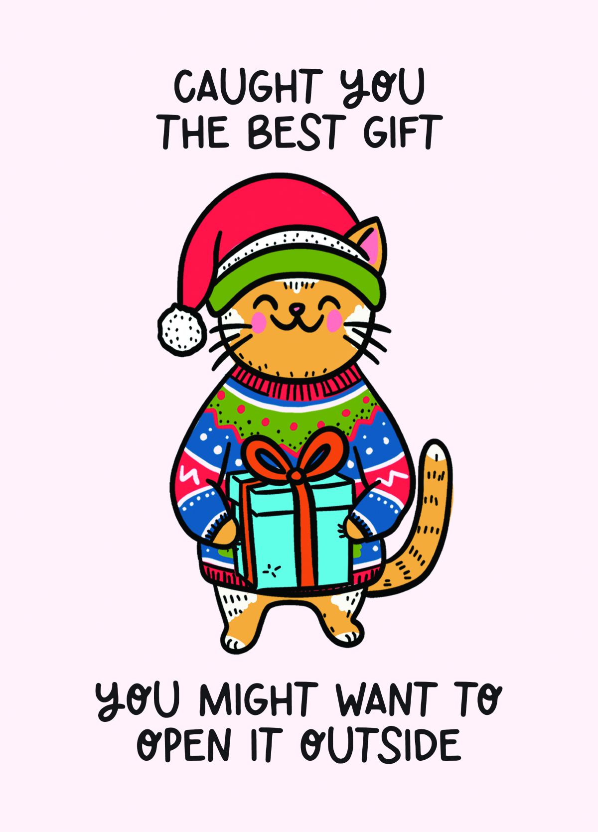 Christmas Card From The Cat