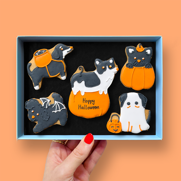 Spooky Dog Halloween Letterbox Iced Cookies