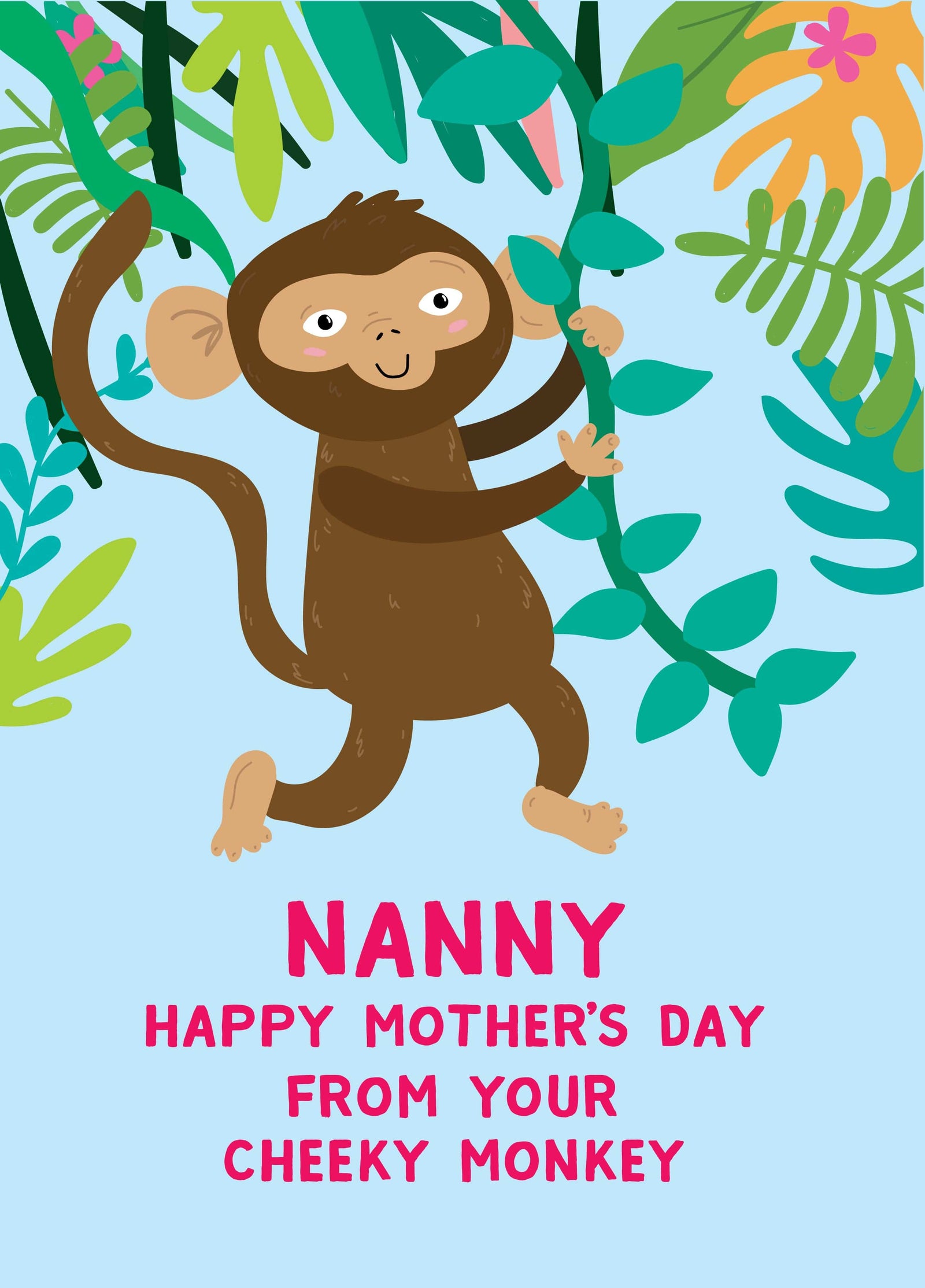 Nanny Happy Mother's Day Card