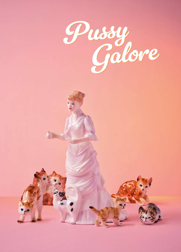 Pussy Galore Lady With Many Cats