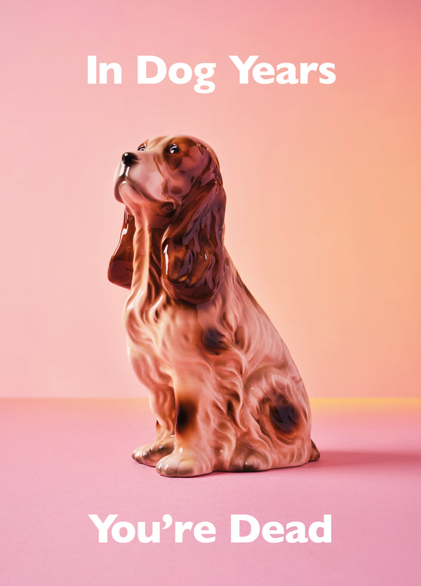 In Dog Years You're Dead