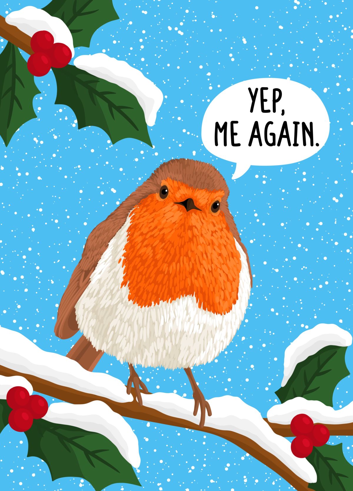 Funny Robin Christmas Card