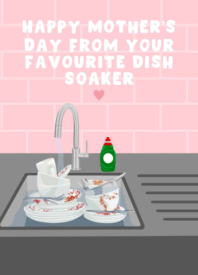 Favourite Dish Soaker