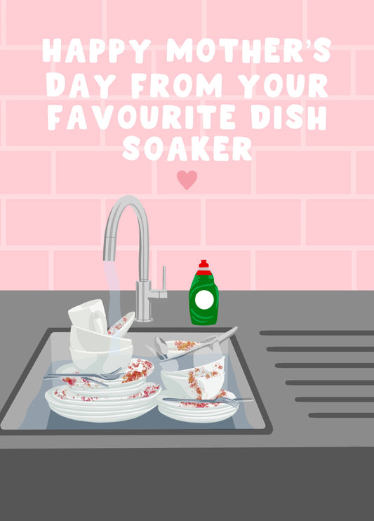Favourite Dish Soaker