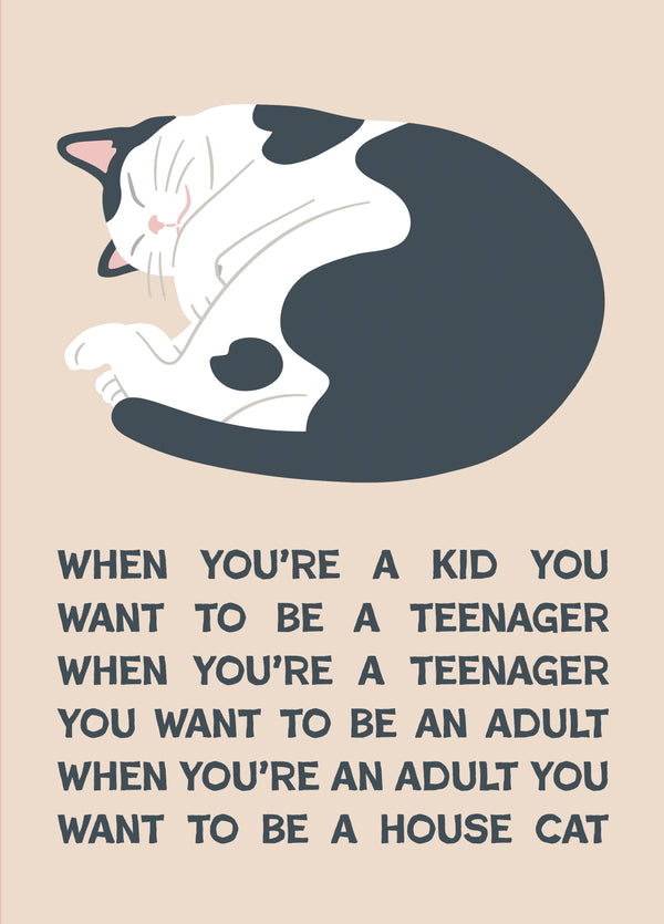 House Cat