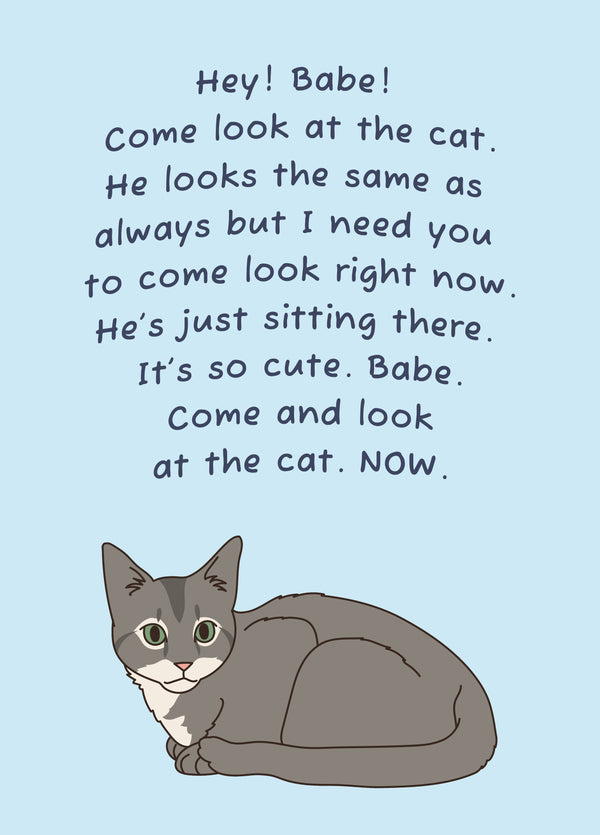 Look At The Cat