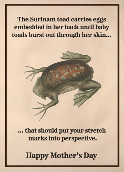 Toad - Mother's Day Card