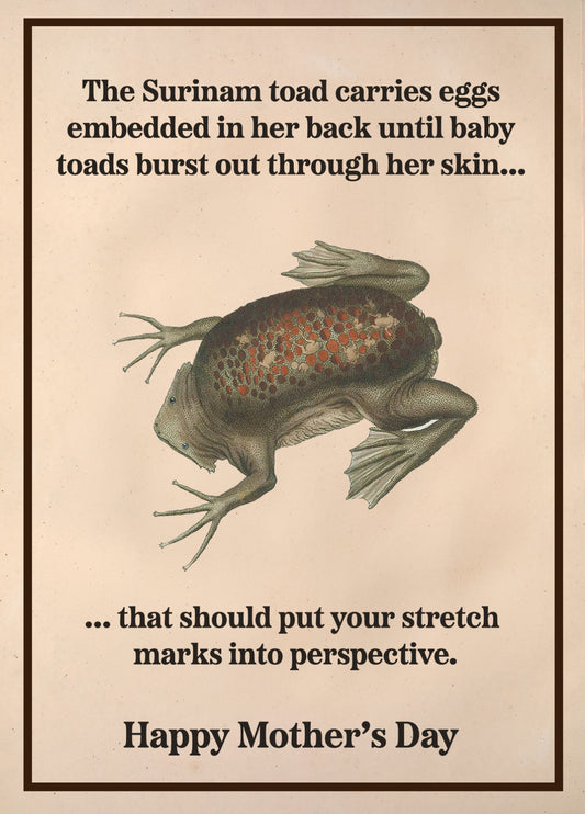 Toad - Mother's Day Card