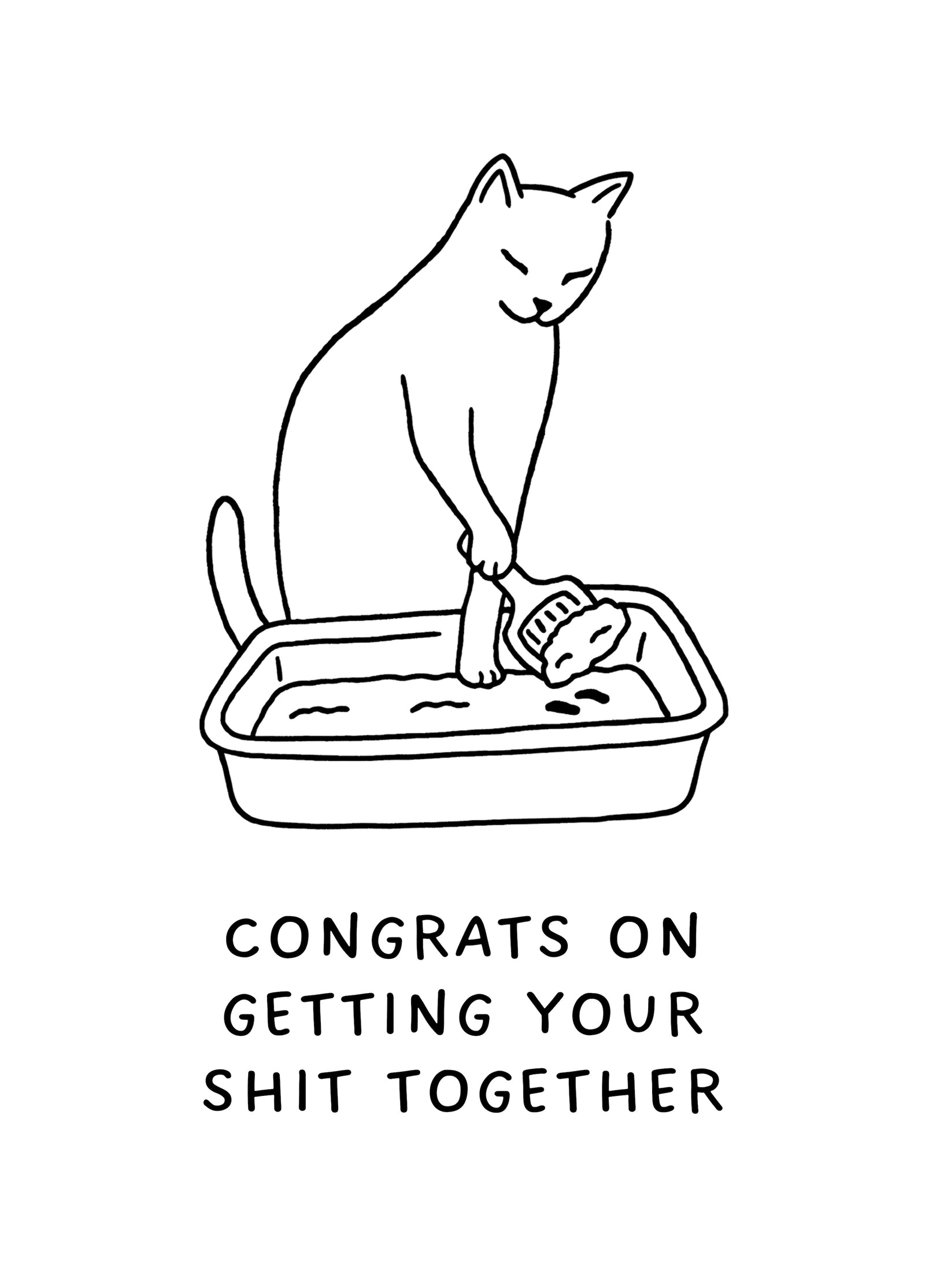 Congrats On Getting Your Shit Together