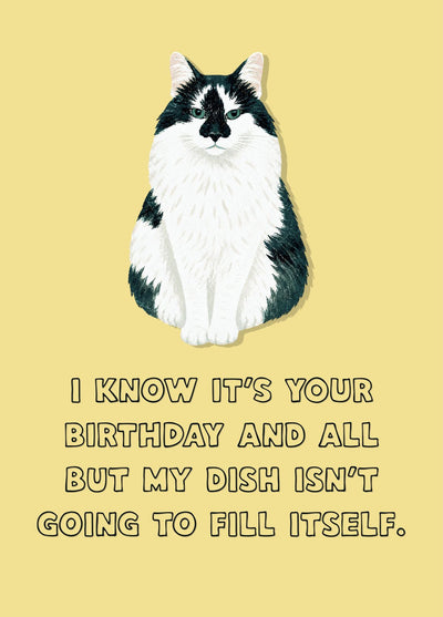 I Know It's Your Birthday And All But My Dish Isn't Going To Fill Itself