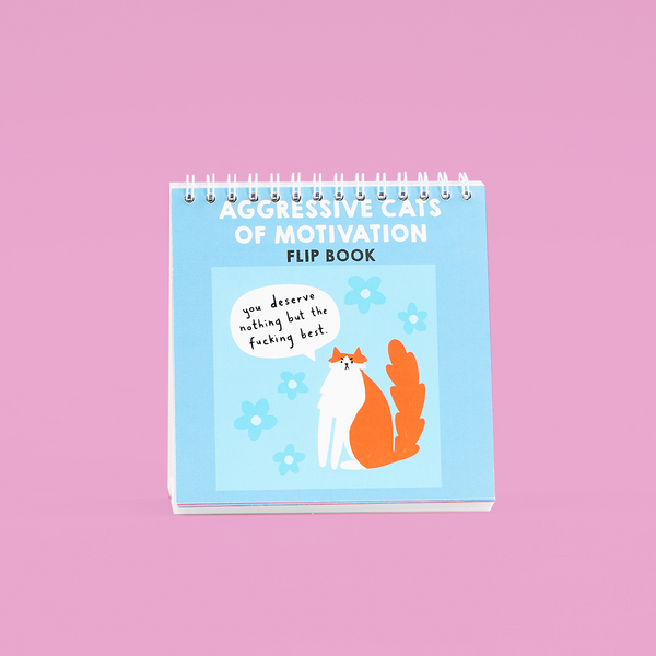 Cat Affirmations Flip Book