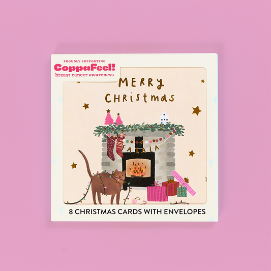 Cat's Xmas Fireplace Charity Card Pack