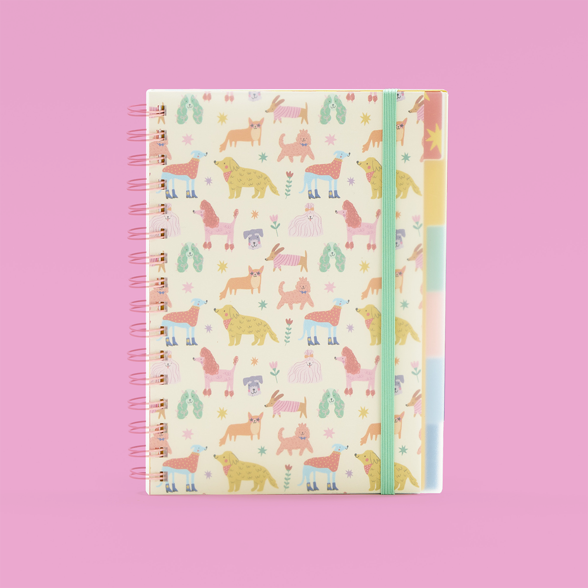 A5 Ringbound Rainbow Dogs Subject Notebook