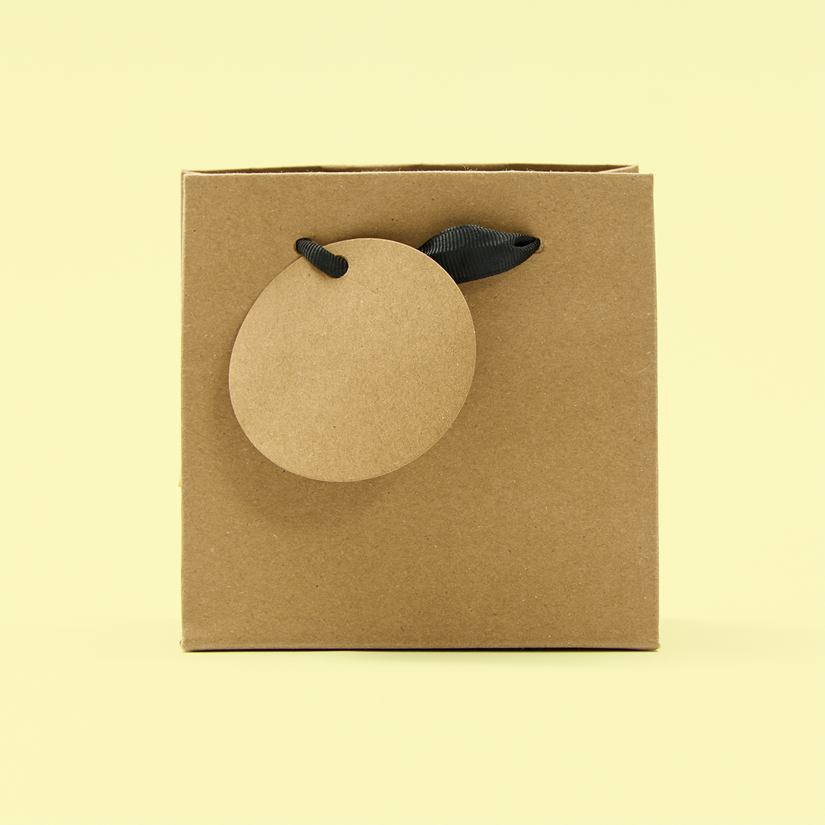 Kraft Small Gift Bag
