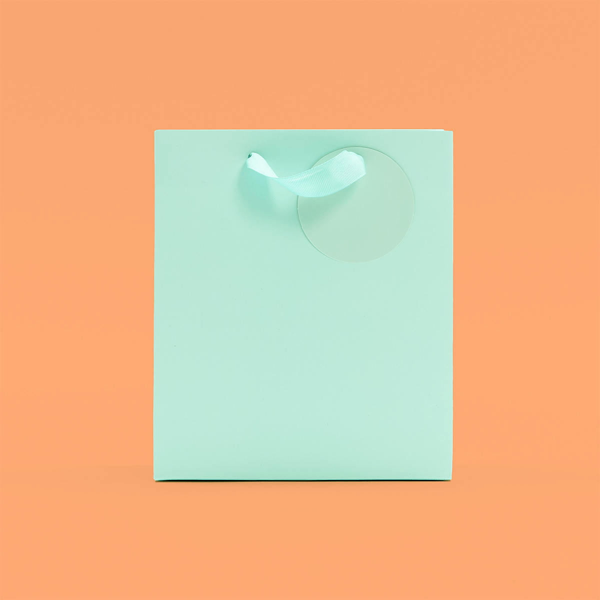 Mint Green Medium Gift Bag