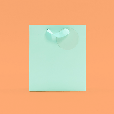 Mint Green Medium Gift Bag