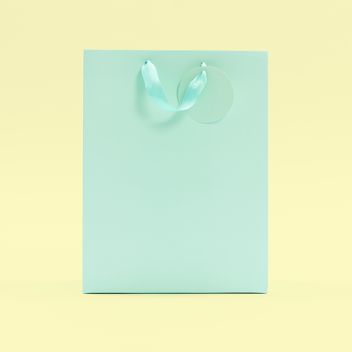Mint Green Large Gift Bag