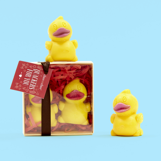 Quackers For You Chocolate Ducks