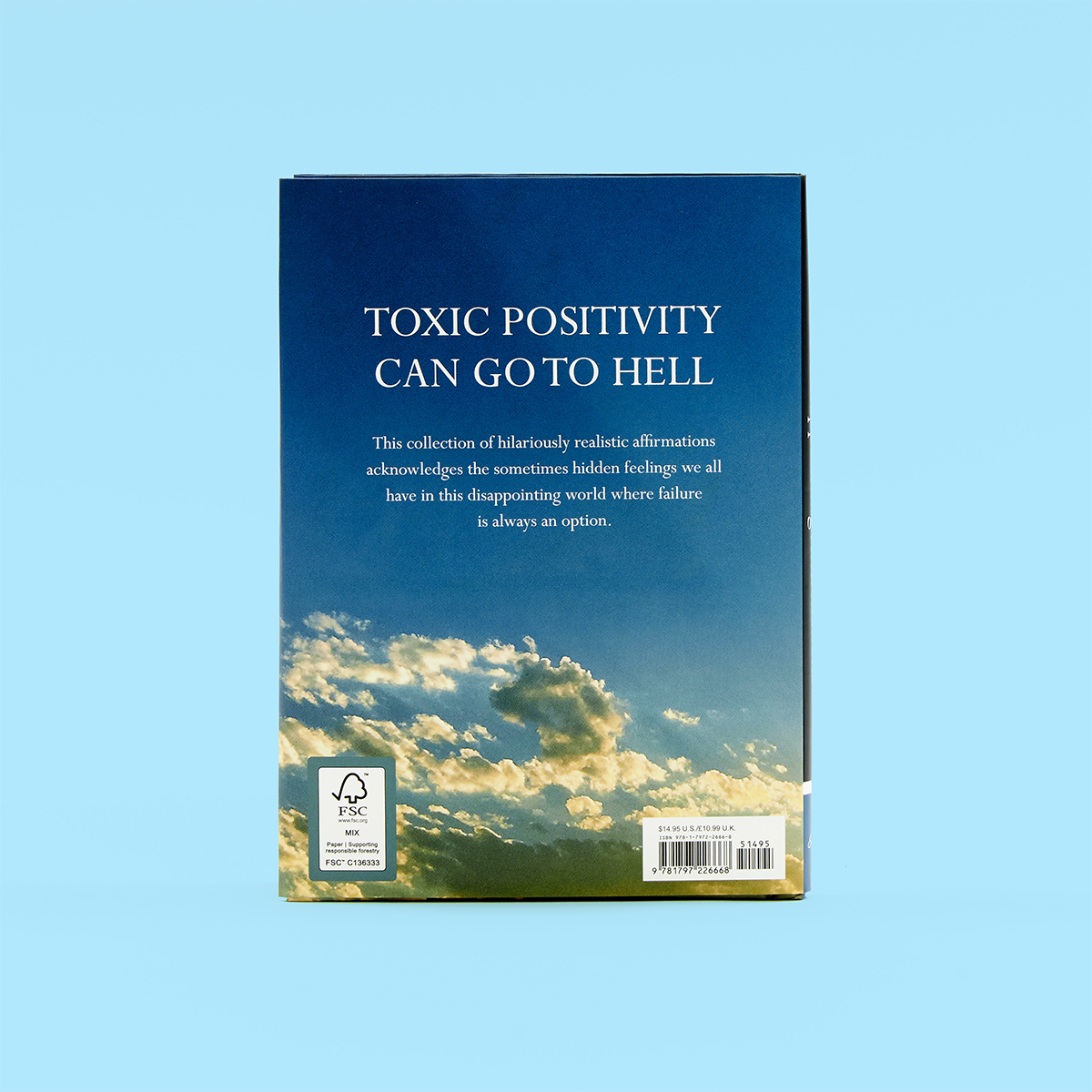 Disappointing Affirmations Book