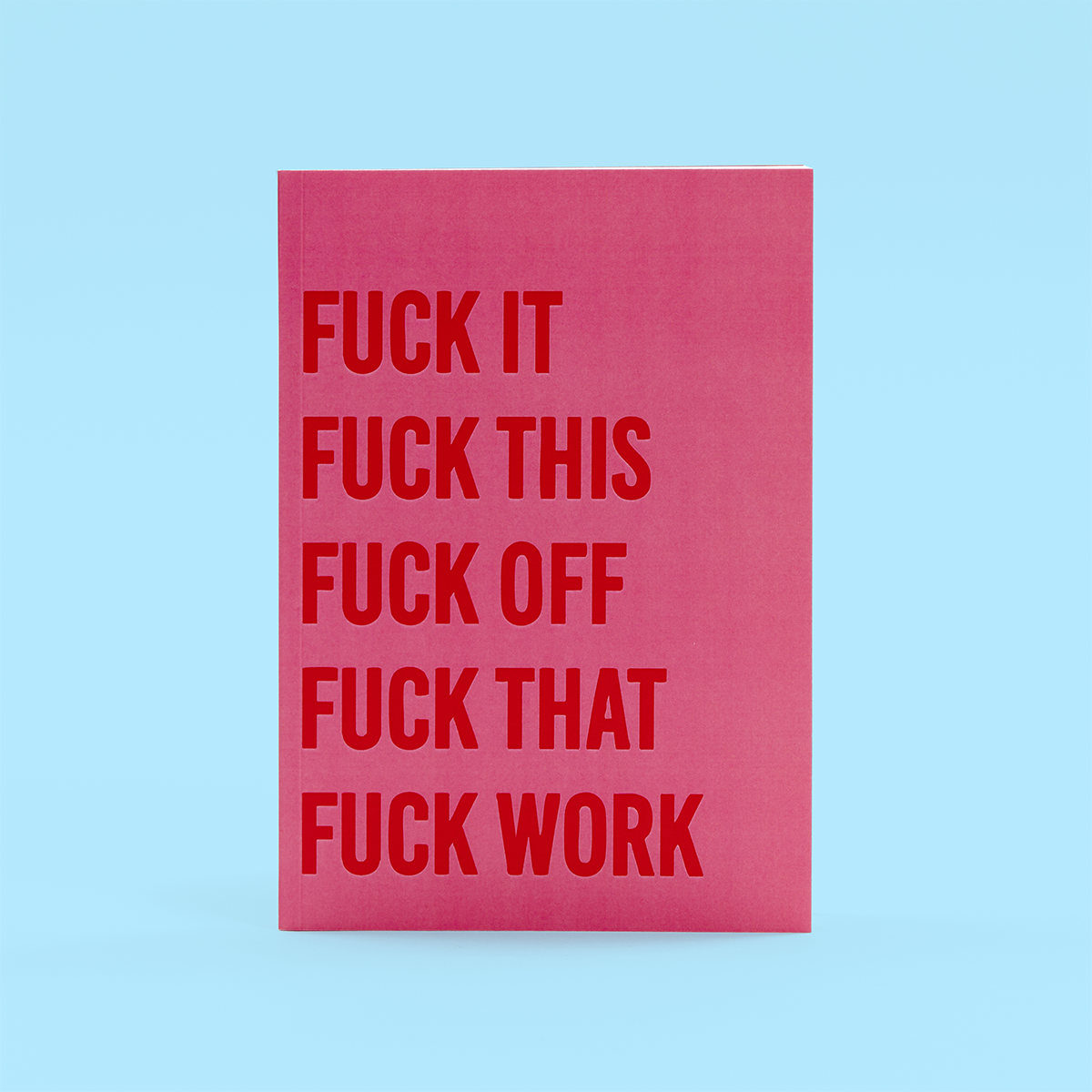 A5 Fuck This Fuck That Notebook