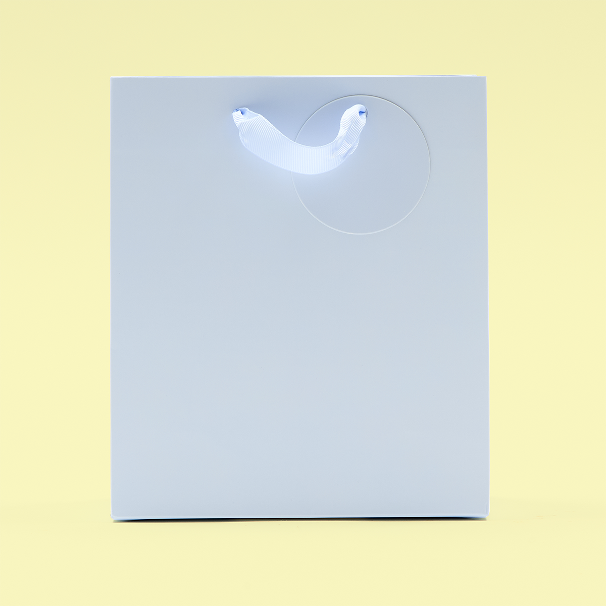 Pale Blue Medium Gift Bag
