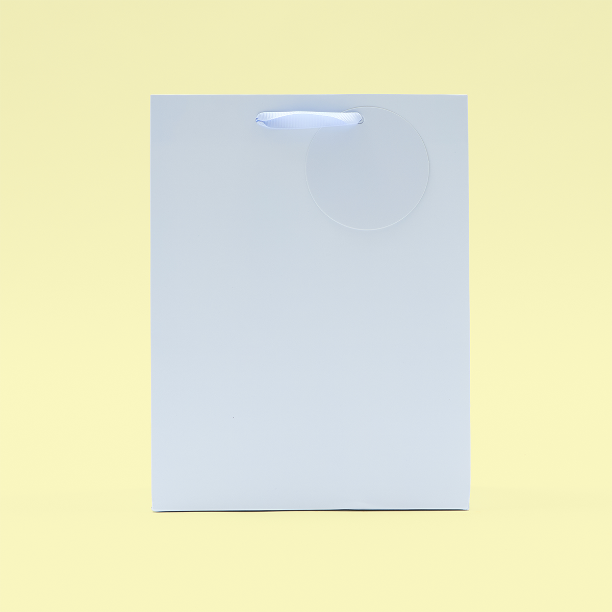 Pale Blue Large Gift Bag