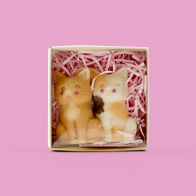 Cute Cats Couple Chocolates