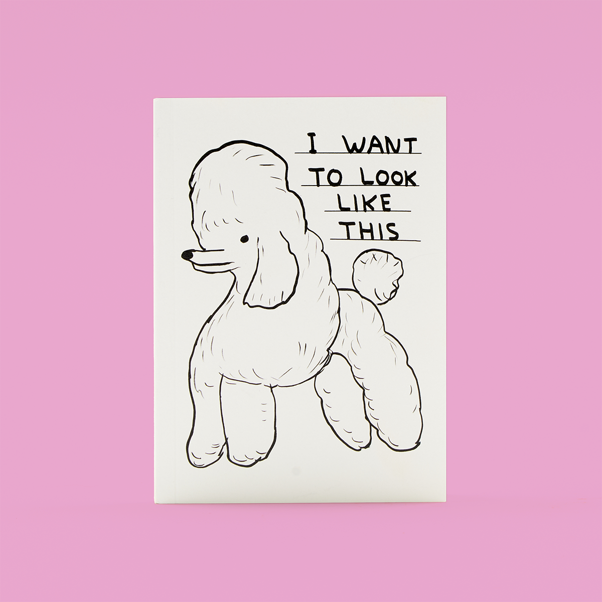 A6 Look Like This Notebook