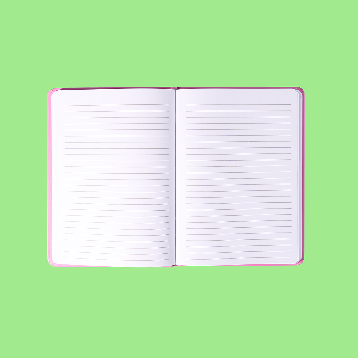 A5 2027 Diary For The Plot