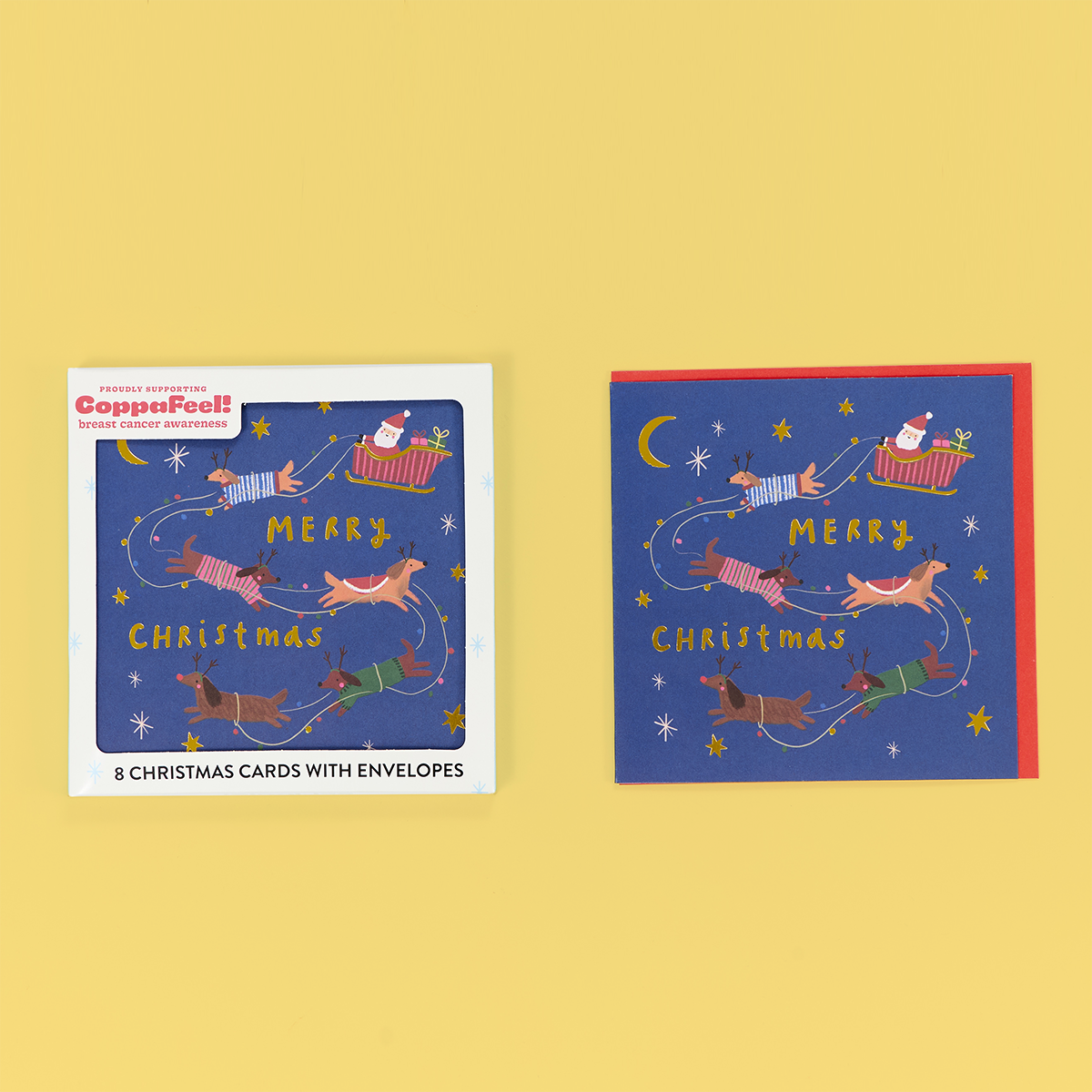 Reindogs Night Sky Card Pack