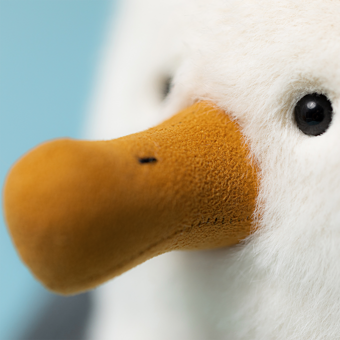 Jellycat Chip Seagull – Scribbler Cards & Gifts