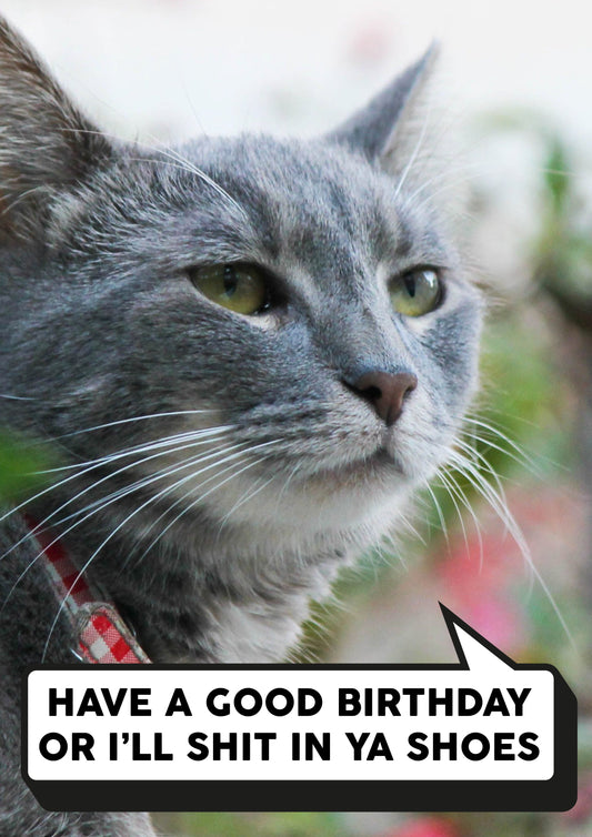 Shit In Ya Shoes Card