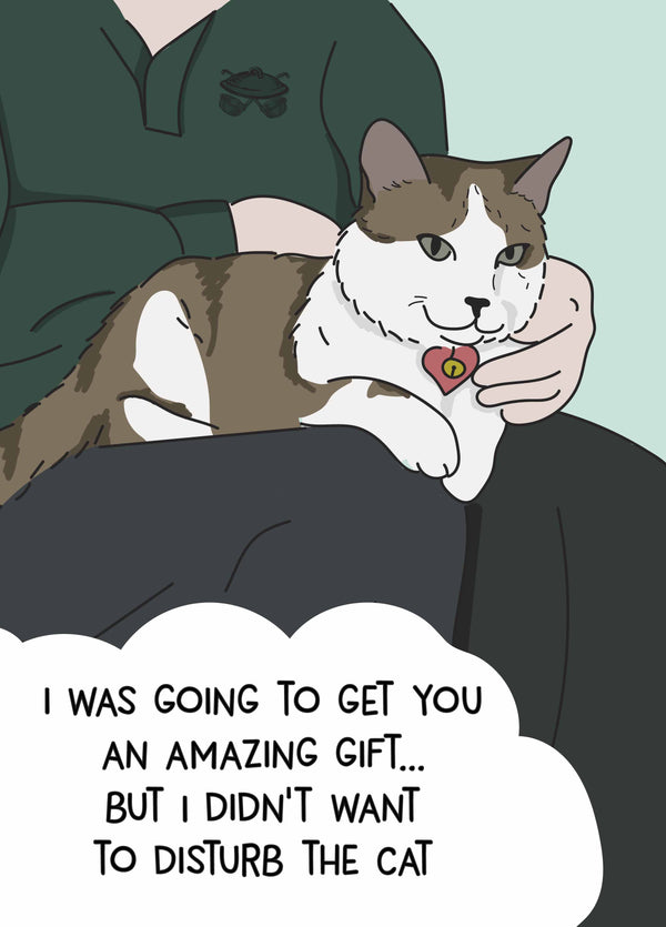 Didn't Want To Disturb The Cat Birthday Card