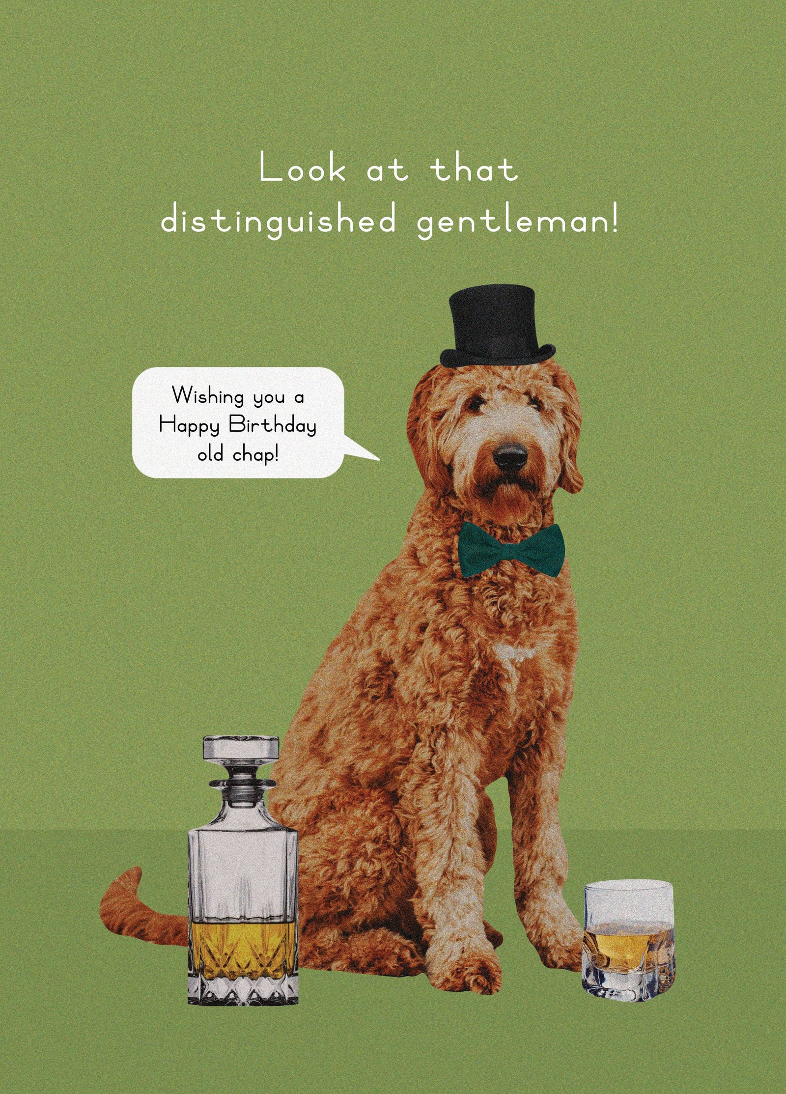 Distinguished Gentleman Doggo Birthday Card