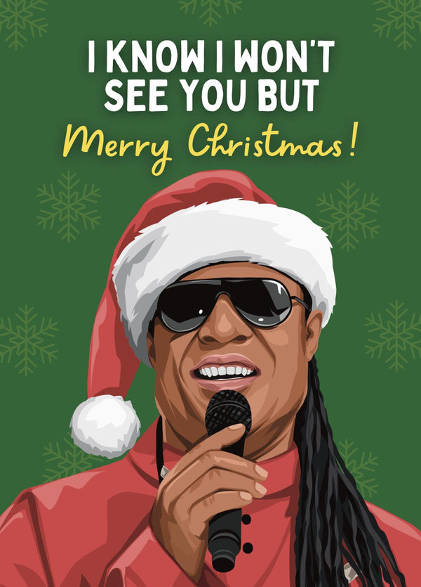 Funny Stevie Wonder Long Distance Christmas Card
